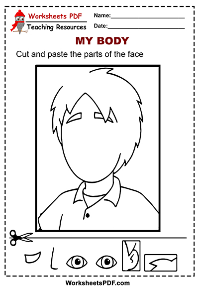 الإطار تلمس الترانزستور  Cut and Paste the Parts of the Face - Worksheets PDF