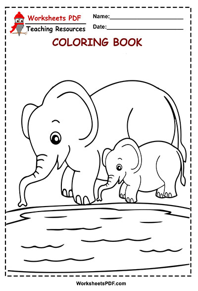 6 elephant drink water