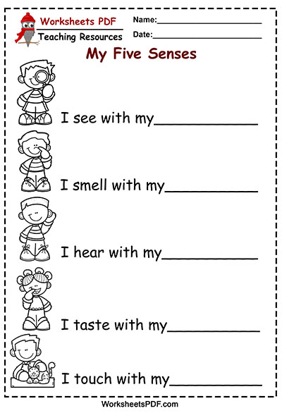 senses activities worksheets