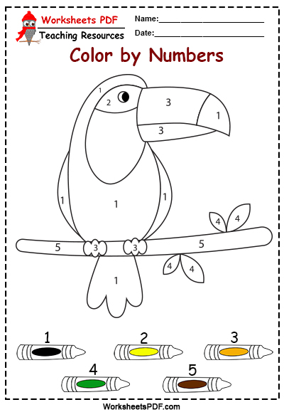 toucan free color by numbers