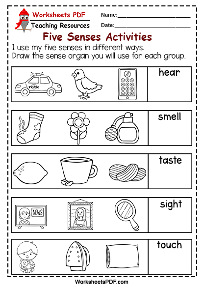 five-senses-preschool-worksheets-pdf