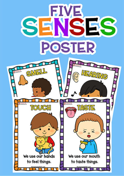 poster five senses